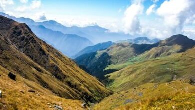 Photo of देवभूमि के 468 वनों के रक्षक बने हैं देवता