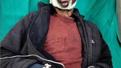 Photo of लकड़ी लेने जंगल गए व्यक्ति को भालू ने किया लहूलुहान