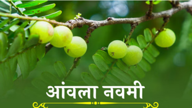 Photo of आंवला नवमी आज, जानिए आंवला वृक्ष के पूजन का महत्व
