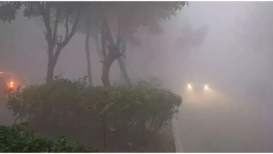 Photo of ठंड और कोहरे की चपेट में उत्तर भारत