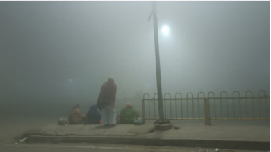 Photo of घने कोहरे और शीतलहर की चपेट में उत्तर भारत, दिल्ली आने वाली फ्लाइट्स प्रभावित!