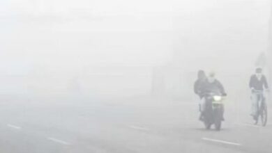 Photo of पंजाब में शीत लहर का कहर, सामान्य से नीचे पहुंचा पारा