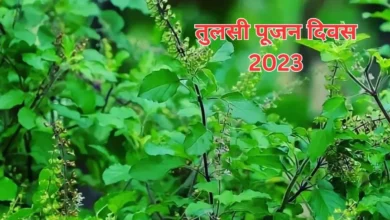 Photo of कब है तुलसी पूजन दिवस? जानें पूजा का धार्मिक महत्व और नियम
