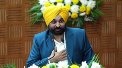 Photo of पंजाब में सभी 13 सीटों पर अकेले चुनाव लड़ेगी आप, सीएम भगवंत मान का बड़ा एलान…