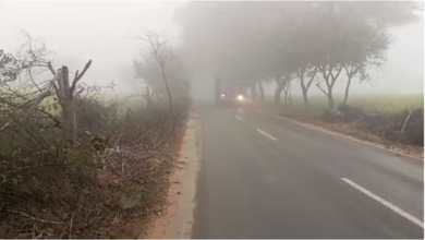 Photo of हरियाणा: कोहरा व प्रदूषण बना मुसीबत; बूंदों की तरह बरस रही ओस