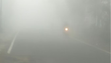 Photo of हरिद्वार और ऊधमसिंह नगर में आज घने कोहरे का अलर्ट
