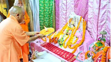 Photo of राम मंदिर: रामलला के पुराने मंदिर के अस्तित्व पर असमंजस