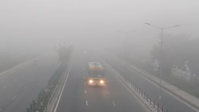 Photo of उत्तराखंड मौसम: खूब सता रहा कोहरा… हरिद्वार और ऊधमसिंहनगर में येलो अलर्ट