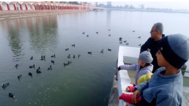 Photo of पांचवें दिन खिली धर्मनगरी में धूप; ठंड से मिली राहत