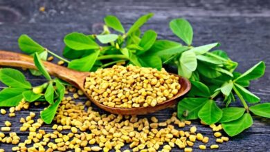 Photo of सर्दियों में मेथी दाना खाने के हैं गजब फायदे!