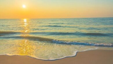 Photo of महाराष्ट्र का तारकरली है सर्दियों में घूमने की बेहतरीन जगह