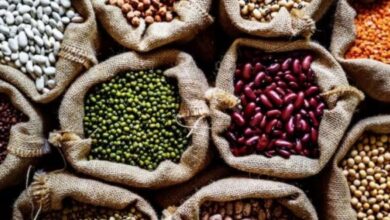 Photo of जानें दालों और बीन्स के प्रकार और फायदे