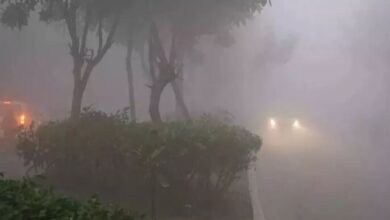Photo of उत्तर भारत में कोहरे का कहर… ठिठुरन भी बरकरार