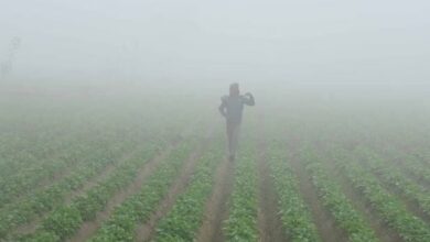 Photo of पंजाब में कड़ाके की ठंड से राहत नहीं, दो दिन का ऑरेंज अलर्ट