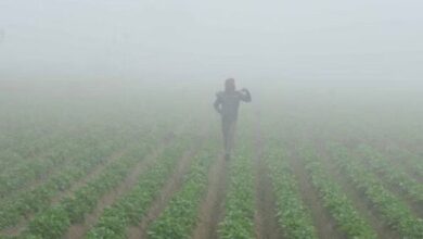 Photo of पंजाब : कड़ाके की ठंड से नए साल का स्वागत