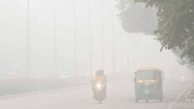 Photo of पंजाब में कोहरे से हादसों में तीन की मौत