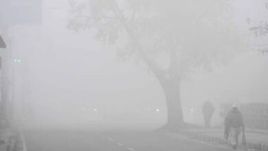Photo of पंजाब : ठंड ने सात साल का रिकॉर्ड तोड़ा, 2.7 डिग्री सेल्सियस पहुंचा रात का पारा