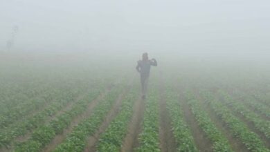 Photo of पंजाब में शुक्रवार को सीजन की सबसे ठंडी रही रात