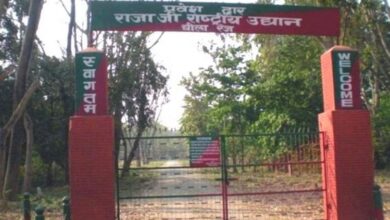 Photo of हरिद्वार : राजाजी में जंगल सफारी आज से शुरू