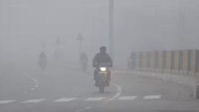 Photo of बर्फीली हवाओं ने बढ़ाई ठंडक, दिनभर नहीं निकली धूप