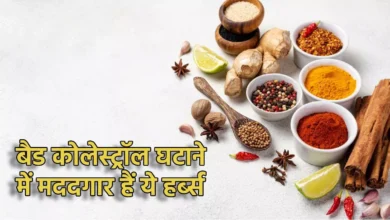 Photo of इन 5 हर्ब्स की मदद से आसानी से बाहर निकाल सकते हैं शरीर में जमे बैड कोलेस्ट्रॉल को
