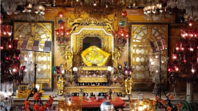 Photo of वृंदावन: वसंत पंचमी पर खुला वसंती कमरा, श्रीजी ने श्रद्धालुओं को दिए दर्शन