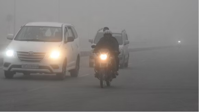 Photo of यूपी मौसम: लखनऊ में सुबह कोहरे की चादर, नौ जिलों में कल गिरे ओले