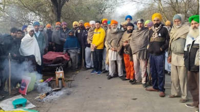 Photo of कपूरथला : सुल्तानपुर लोधी में आवारा कुत्तों का आतंक