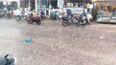 Photo of यूपी में बिगड़ा मौसम : आज और कल गिरेंगे ओले