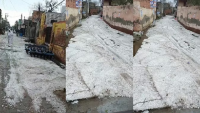 Photo of हरियाणा के नौ जिलों में बारिश के साथ ओलावृष्टि