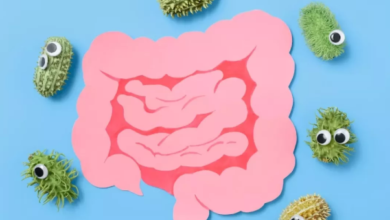 Photo of आंतों को स्वस्थ बनाए रखेंगे ये आठ सुपर फूड्स