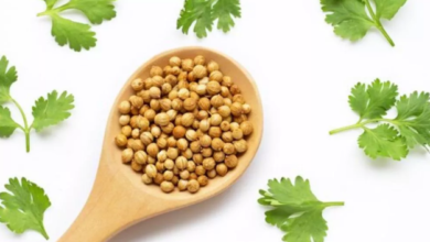 Photo of थायरॉइड के मरीजों के लिए अमृत से कम नहीं धनिया का पानी