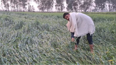 Photo of यूपी का मौसम: पूरे प्रदेश में छाए घने बादल…कई जिलों में भारी बारिश