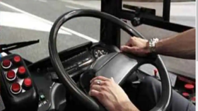 Photo of चारधाम यात्रा 2024: बसों का किराया 10 से 15 प्रतिशत बढ़ाने की तैयारी में ट्रांसपोर्टर