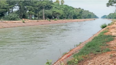 Photo of हरियाणा: भाखड़ा नहर की सफाई के कारण 24 दिनों तक रहेगी नहरबंदी