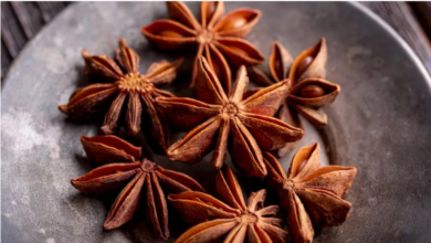 Photo of जोड़ों और गठिया के दर्द से बचाएगा चक्र फूल