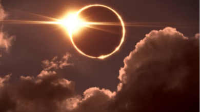 Photo of खतरनाक होगा सूर्य ग्रहण? अमेरिका में क्यों दी जा रही चेतावनी…