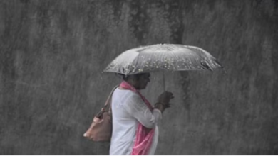 Photo of पंजाब में तेज आंधी तूफान के साथ होगी बारिश