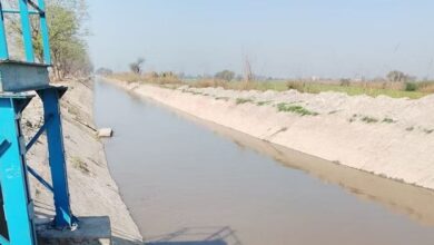 Photo of यमुना में जलस्तर घटने से बिगड़ी स्थिति