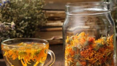 Photo of कई बीमारियों का रामबाण इलाज है यह फूल