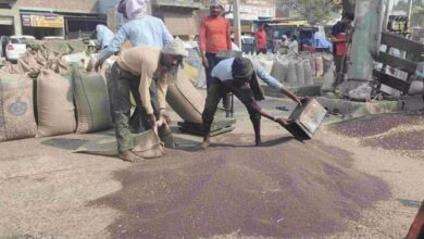 Photo of बहादुरगढ़ अनाज मंडी: सरसों का नहीं हुआ उठान, कैसे होगा किसानों का भुगतान