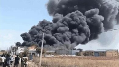 Photo of हरियाणा की गद्दा फैक्ट्री में आग लगने से 8 गायों की मौत