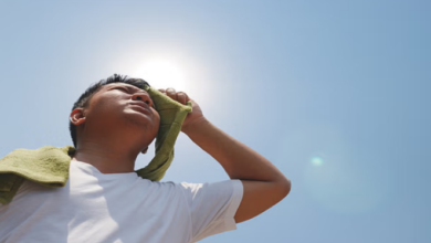 Photo of पंजाब में टूटा रिकॉर्ड, 47.4 डिग्री तापमान पर झुलसे लोग