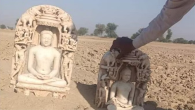 Photo of सिरसा सीमा से सटे राजस्थान के गांव ढिलकी में मिलीं 8वीं शताब्दी की तीर्थंकर महावीर की मूर्तियां