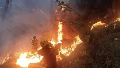 Photo of उत्तराखंड में जंगल की आग बेकाबू: 930 घटनाओं में पांच की मौत, मोर्चे पर NDRF को भी उतारा