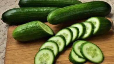 Photo of खीरा पोषक तत्वों से होता है भरपूर, जानिए इसके लाभ !