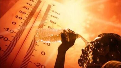 Photo of हरियाणा: आखिर कब तक सताएगी ये गर्मी, 47 डिग्री तक पहुंचा तापमान
