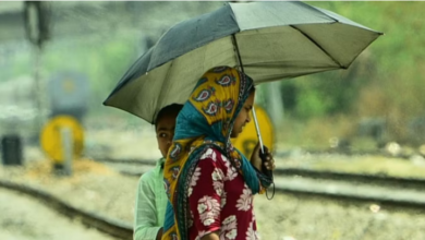 Photo of पंजाब: 17 जिलों में तीन दिन के लिए लू का ऑरेंज अलर्ट