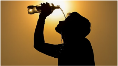 Photo of पंजाब: सबसे गर्म बठिंडा, 46.9 डिग्री रहा पारा