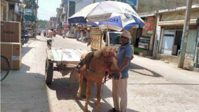 Photo of हरियाणा: लू में झुलसी फसलें, 30 प्रतिशत तक नुकसान